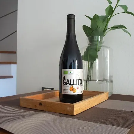 Apartment Cozy 1 Bedroom With Sea View Cotillo