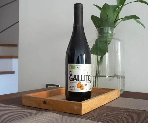 Appartamento Cozy 1 Bedroom With Sea View Cotillo